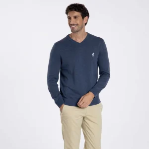 Pull PITT Bleu