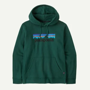 HOODIE P-6 LOGO VERT
